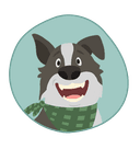 border_collie
